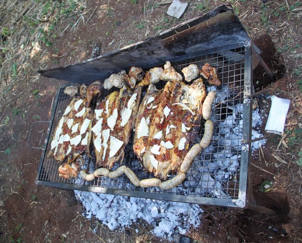 peixe 2 sozinho